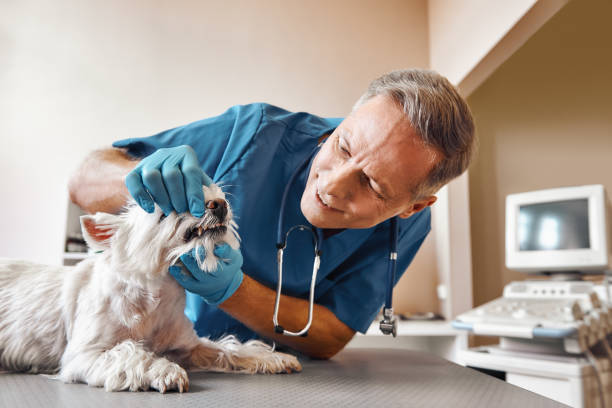 Best Weekend Emergency Dentist in Bellmead, TX